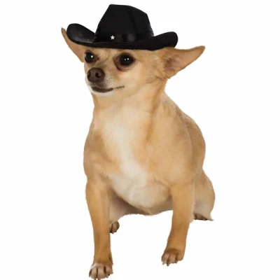 Bellissimo cappello da cowboy in feltro di lana per cani